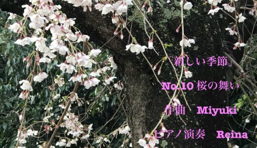 新しい季節　No.10 桜の舞い